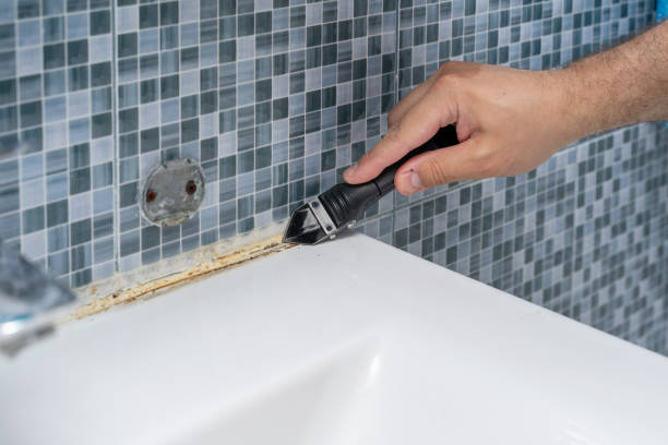 Best Certified Mold Removal  in Goodyear, AZ