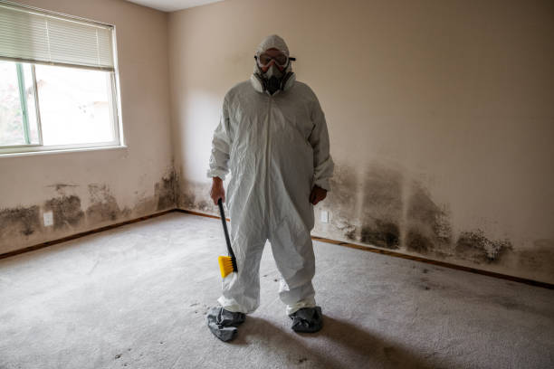 Water Damage Restoration in Goodyear, AZ